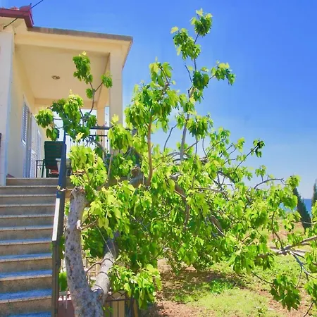 Burano Beach Apartments *